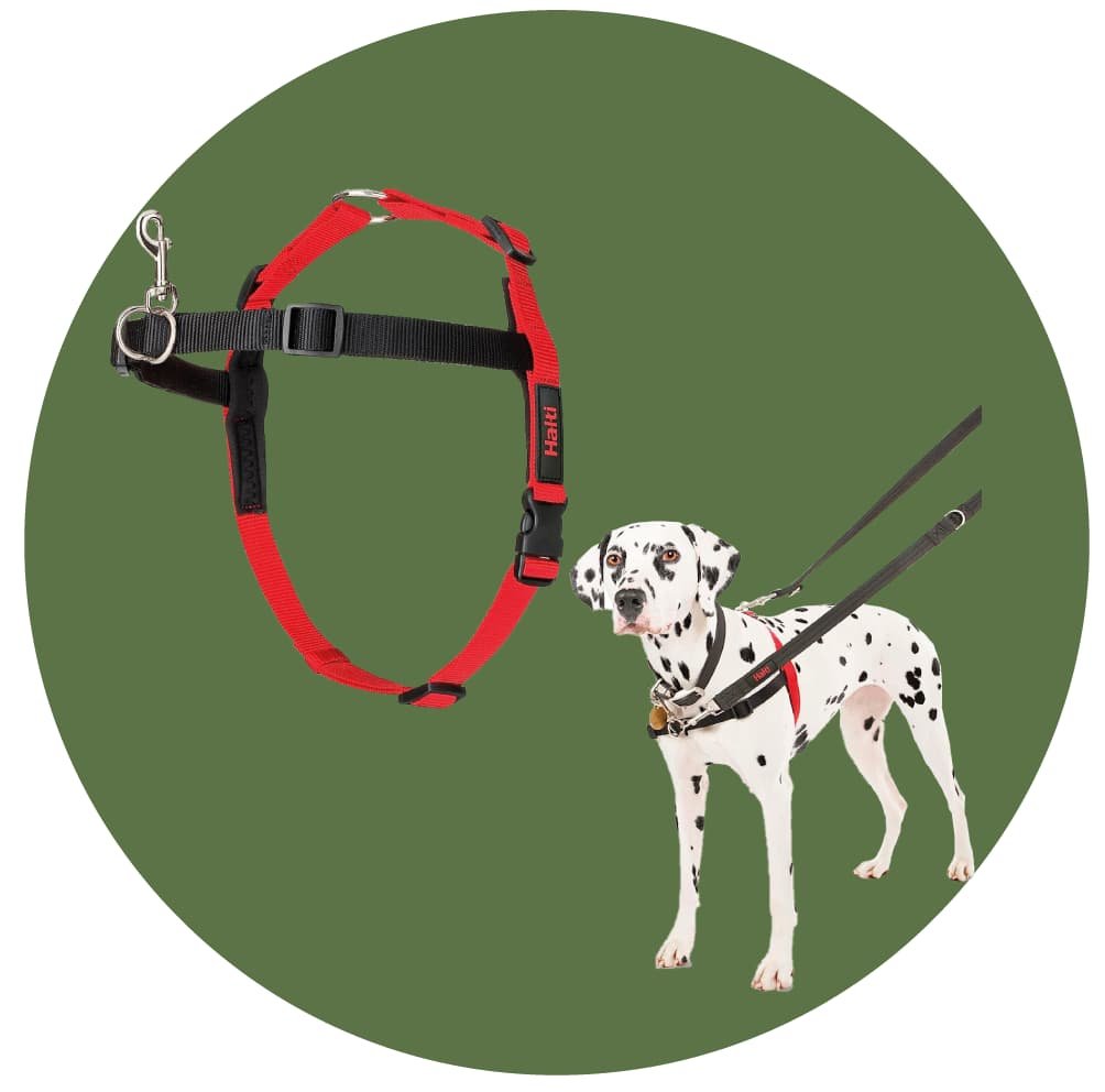 ACCESORIOS PARA PASEO DE PERRO