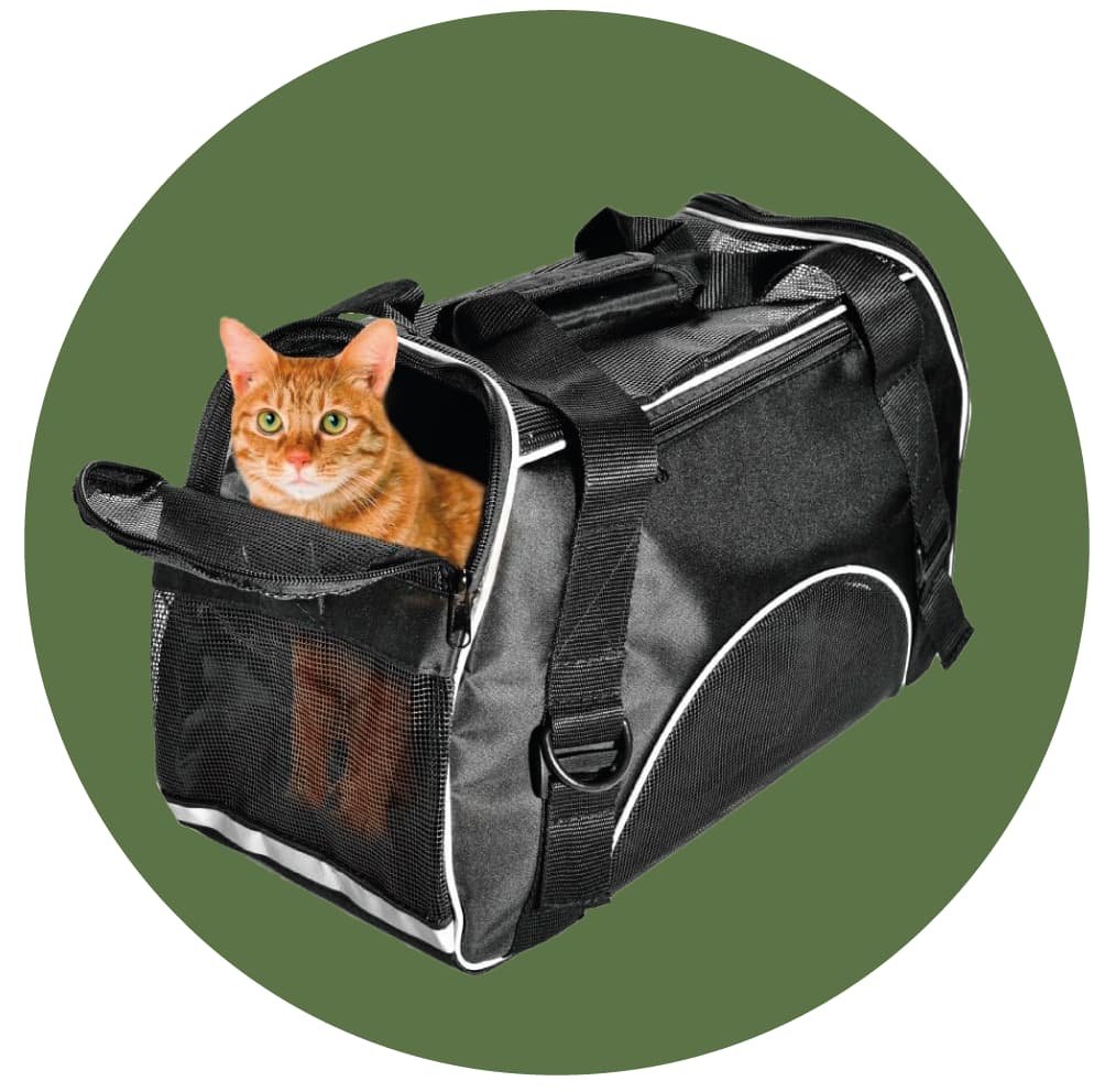 BOLSOS DE TRANSPORTE PARA TUS GATOS