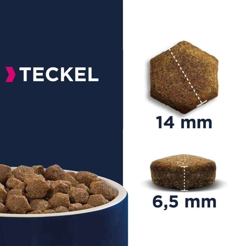 EUKANUBA Breed Specific Alimento seco para perros teckel adultos, alimento para perros óptimamente adaptado a la raza 2.5 kg