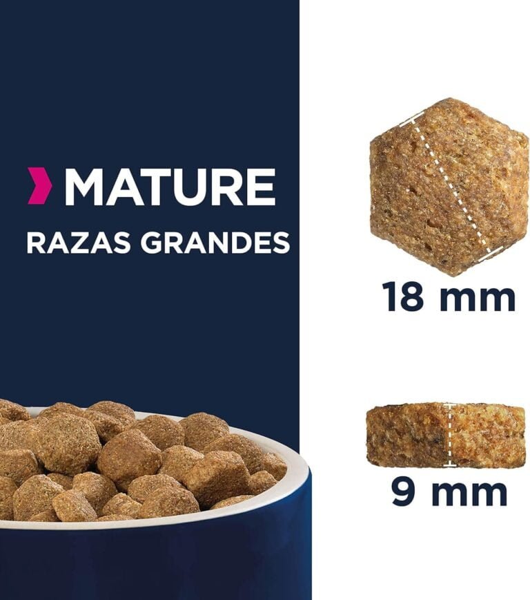 EUKANUBA Alimento seco para perros maduros de raza grande, rico en pollo fresco 15 kg