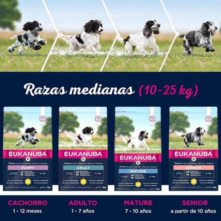 Eukanuba Alimento seco para perros adultos activos de raza mediana,, rico en pollo fresco 15 kg