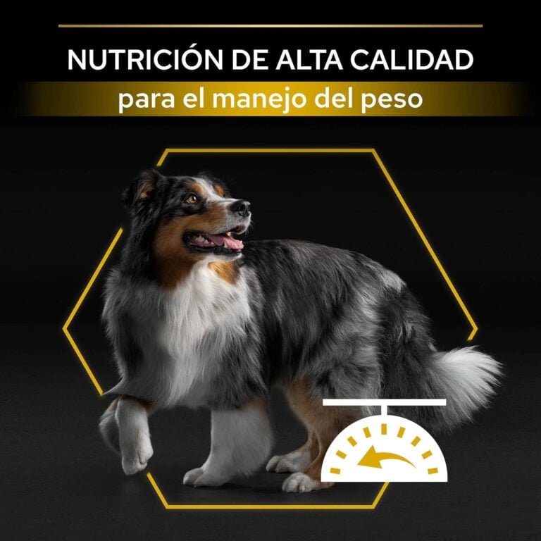 PURINA PRO PLAN Perro Adulto Todos los Tamaños con OPTIWEIGHT Pollo 14kg