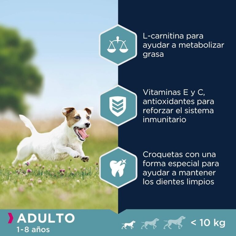 Eukanuba Alimento fresco para perros con pollo para razas pequeñas, alimento seco de primera calidad para perros adultos, 3 kg