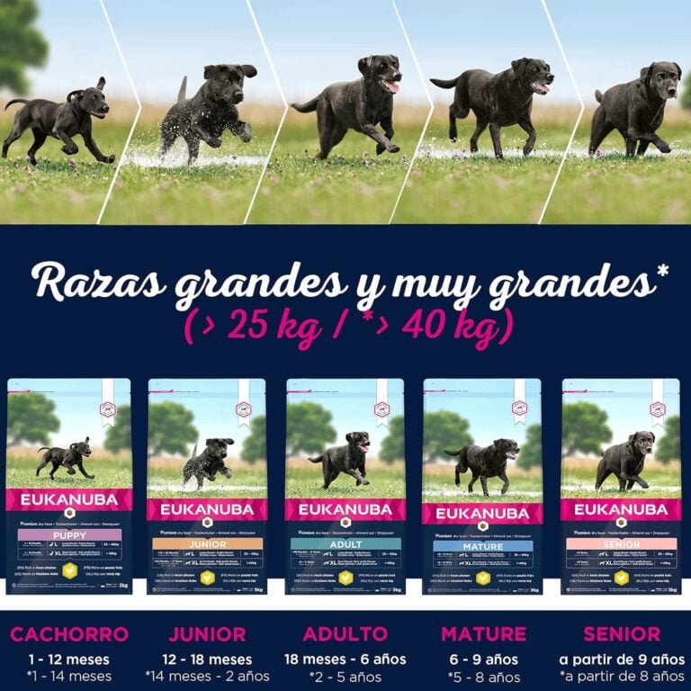 EUKANUBA Alimento seco para perros maduros de raza grande, rico en pollo fresco 15 kg