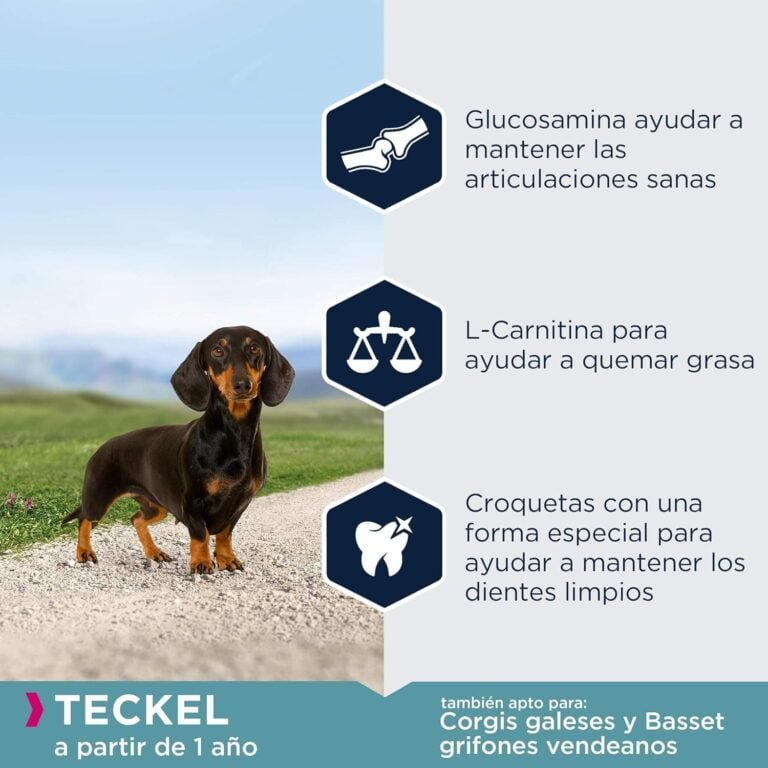 EUKANUBA Breed Specific Alimento seco para perros teckel adultos, alimento para perros óptimamente adaptado a la raza 2.5 kg