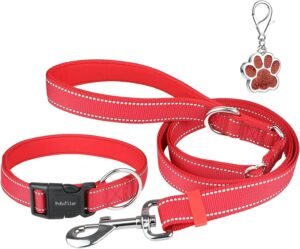 Juego de Collar y Correa para Perro, Collares Reflectantes de Neopreno Suave con Correa Ajustable de 1,8 M con Mango Acolchado y Etiqueta para Perros PequeñOs, Medianos y Grandes, Rojo-S