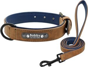 Didog - Collar de Piel Suave Acolchada Personalizable para Perro, Chapa de Nombre, Anilla en D, Collar Grabado para Perro, tamaños pequeño, Mediano y Grande