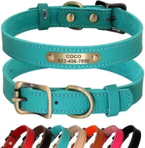 PET ARTIST Personalizado Collar de Perro de Cuero Genuino, Ligero y Suave Collar, 7 Hermosos Colores, Collar de Perro Durable para Cachorro y Perros pequeños, Verde S