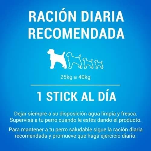 Dentalife Purina Large - Snacks para perros grandes (multipack 72 sticks, 2 x 36) 1280 g Pack de