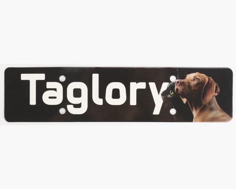 Taglory Collar Perro, Collar Nylon Reflectante Neopreno Forrado Ajustable para Perros Grandes, Negro