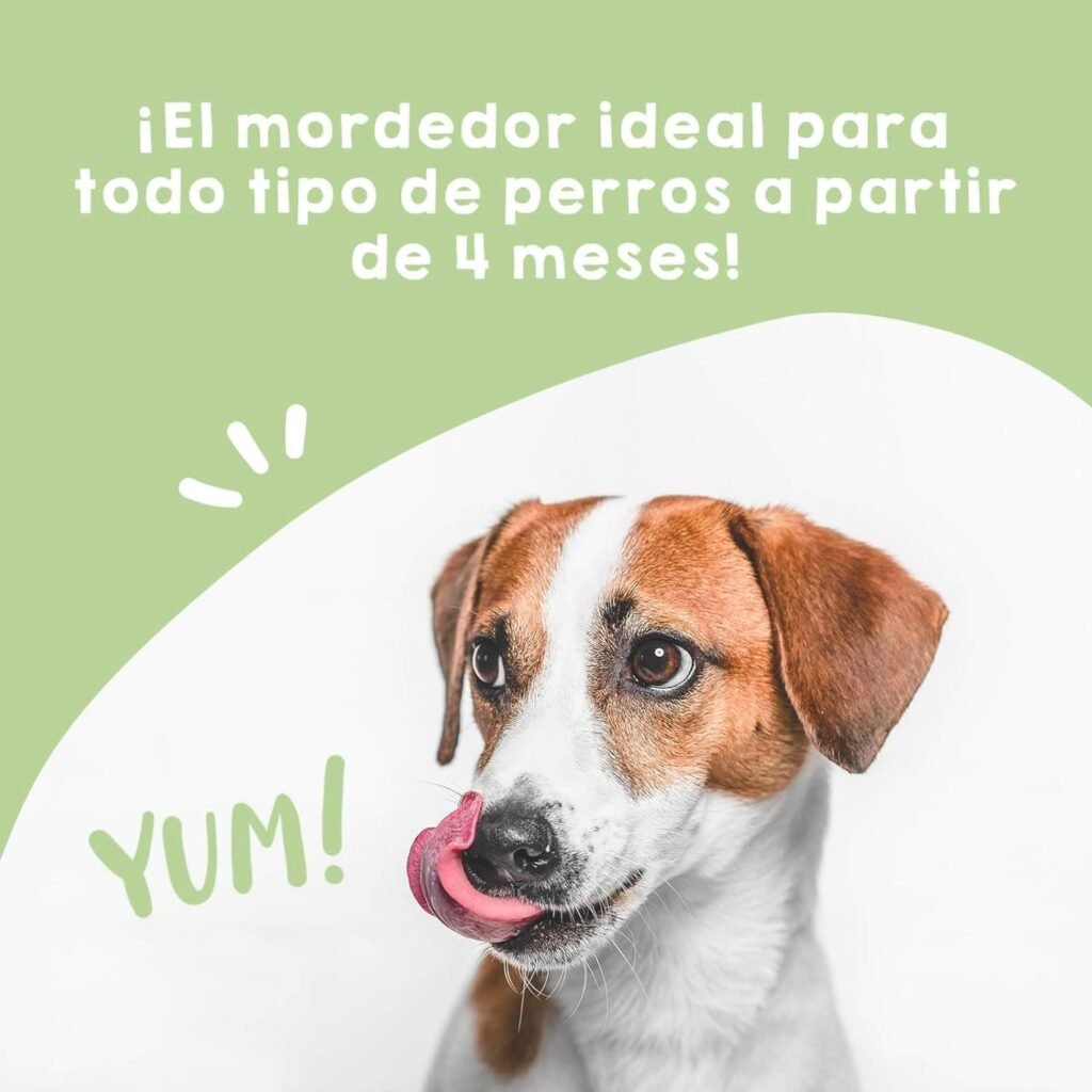 MAIKAI Hueso para Perros Queso del Himalaya Talla M Pack de 2 - Elimina Placa y Mal Aliento - Mordedor Natural - Churpi - Ideal Razas 5-15 kg - Premios Perros