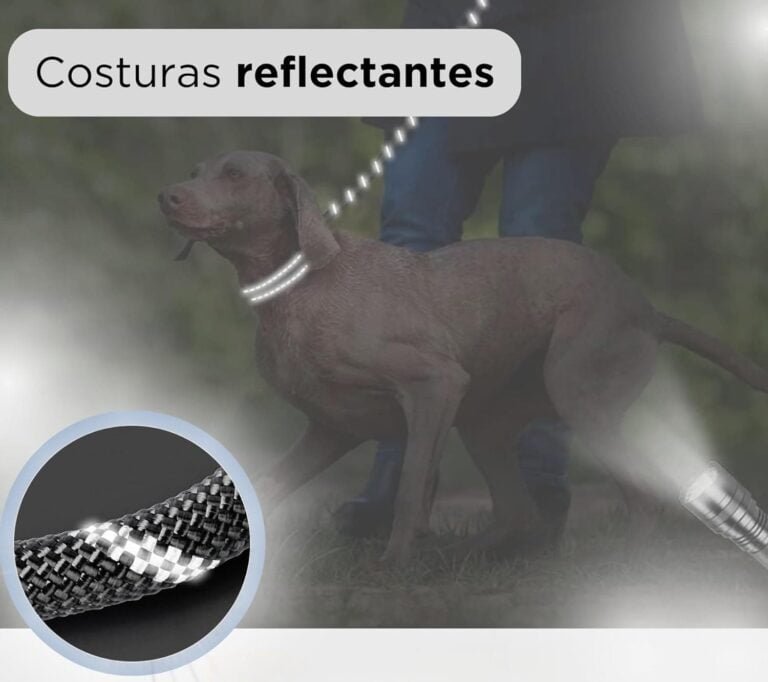 Collar de Perro Ajustable y Acolchado con Neopreno - Correa Perro 1,5m Reflectante - Cuenco Plegable y Dispensador con 15 Bolsitas - para Perros Pequeños Medianos y Grandes