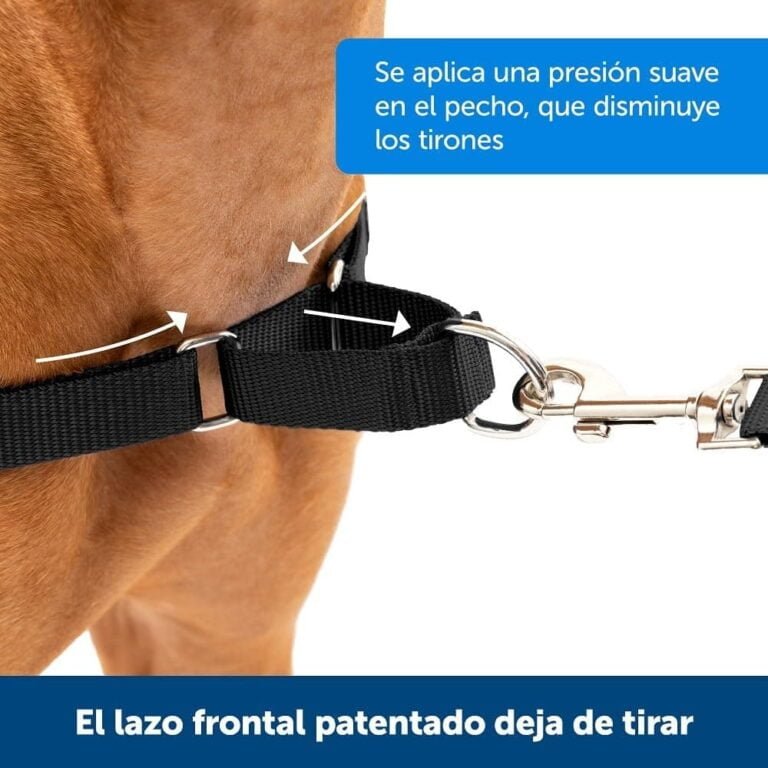 PetSafe Easy Walk Arnés Antitirones para Perros, Adiestramiento de Perros, Evita Asfixia, Negro, Mediano, M