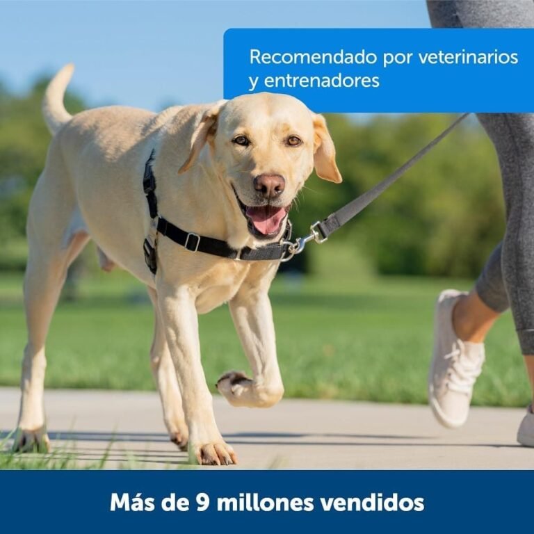 PetSafe Easy Walk Arnés Antitirones para Perros, Adiestramiento de Perros, Evita Asfixia, Negro, Mediano, M