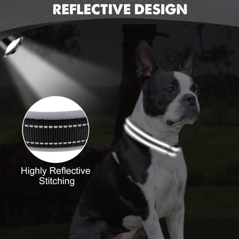 Joytale Collar Perro, Resistente Collar Perro Mediano, Reflectante Ajustable Collar Perros de Acolchado Neopreno Nylon, Negro, M