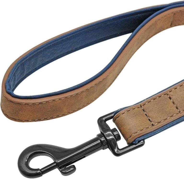 Didog - Collar de Piel Suave Acolchada Personalizable para Perro, Chapa de Nombre, Anilla en D, Collar Grabado para Perro, tamaños pequeño, Mediano y Grande