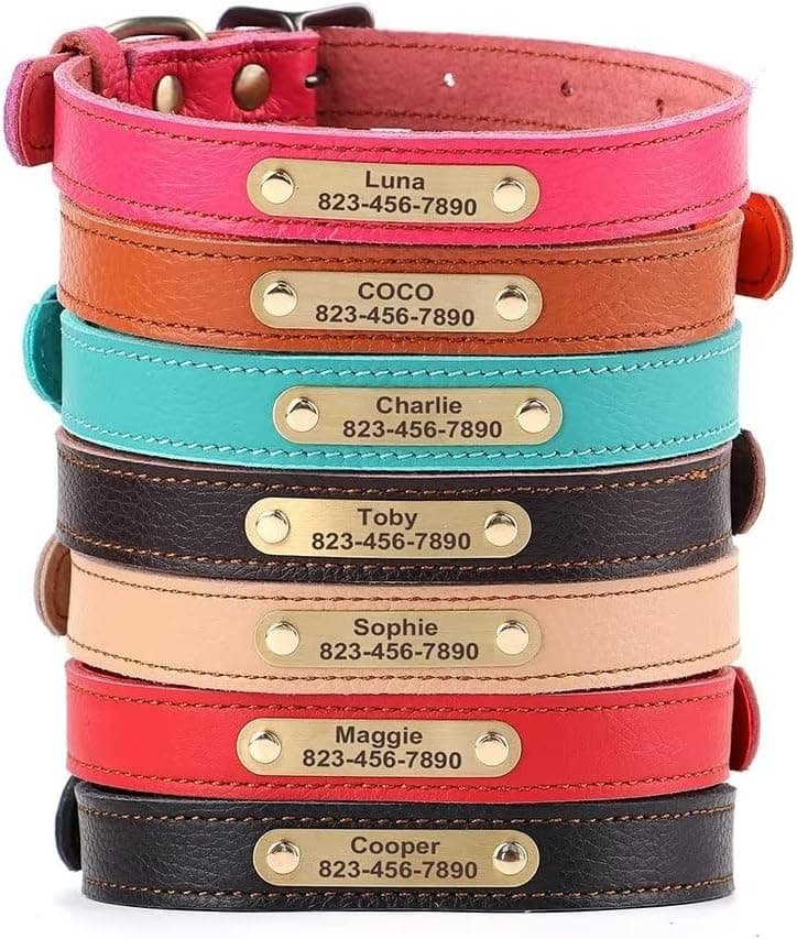 PET ARTIST Personalizado Collar de Perro de Cuero Genuino, Ligero y Suave Collar, 7 Hermosos Colores, Collar de Perro Durable para Cachorro y Perros pequeños, Verde S