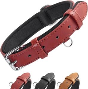 Grand Line Collar de Perro de Cuero, Collare Ancho y Grueso con Suave Acolchado，Collare de Perro en Piel Ajustables Resistentes para Perros Pequeños, Medianos, Grandes (Roja, S)