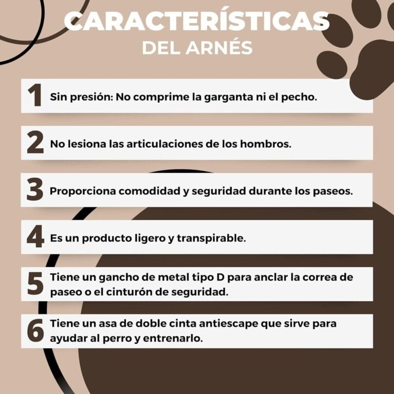 Arnés Perro Pequeño Antitirones S sin Presión con Cinturón de Seguridad para Coche. Pechera Ajustable con Asa de Agarre, Duradera, Cómoda y Ligera. Tiene Anclaje Tipo D para Correa de Paseo.