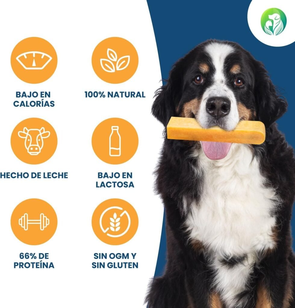 Dilecti Huesos de Queso Naturales - Los Masticables Naturales Muy Sabrosos, Duros y Duraderos Mantendrán a su Perro Ocupado Durante un Tiempo. (Talla XL, Juego de 3)