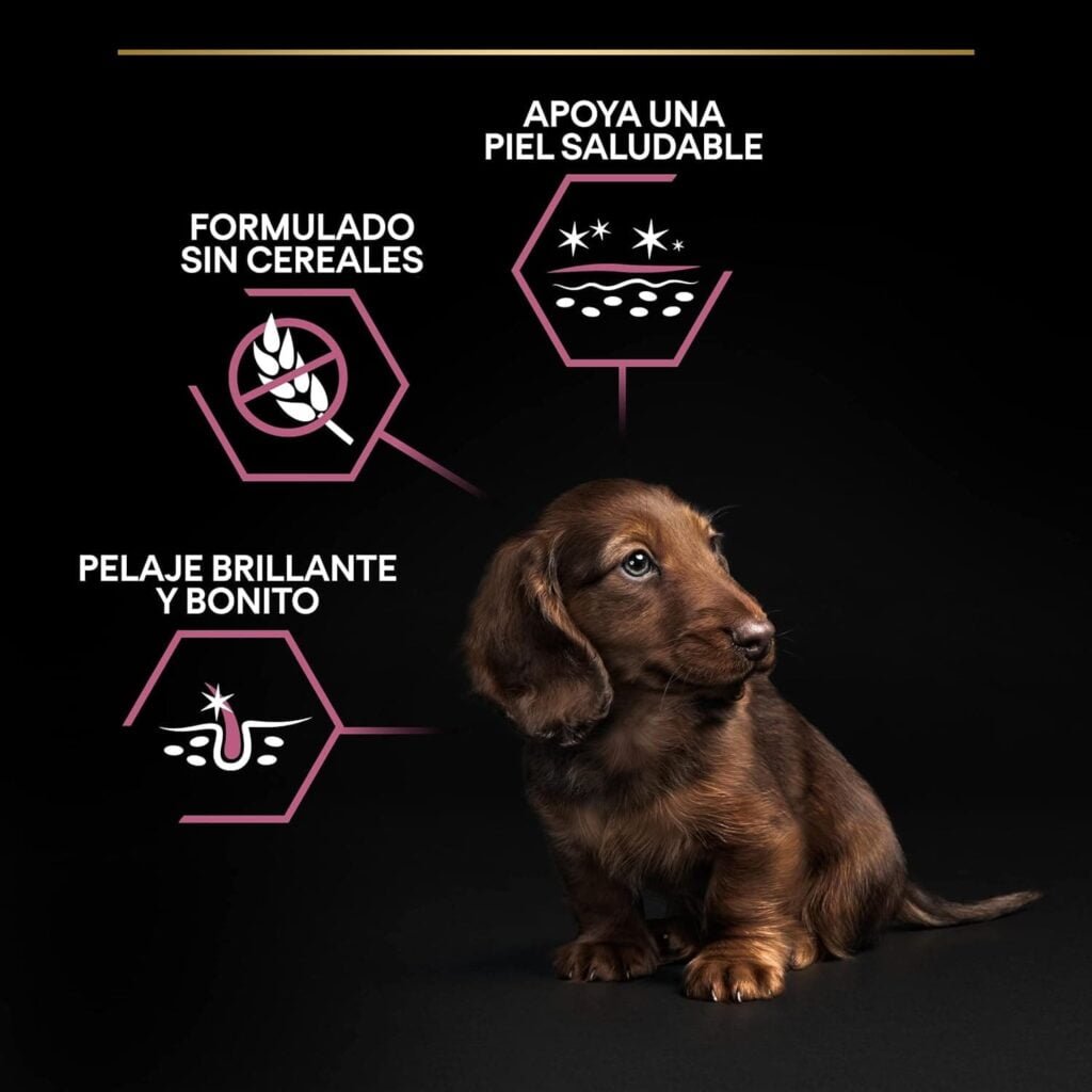 Purina Pro Plan Small & Mini Puppy, Salmón para cachorros de piel sensible, Pack de 4 x 3 Kg - Total 12 Kg