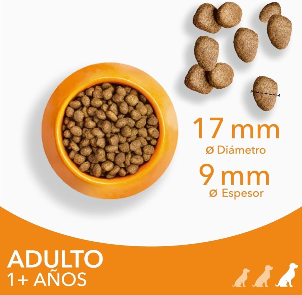 IAMS for Vitality Alimento seco para perros adultos (1-6 años) de raza grande con pollo fresco, 12 kg