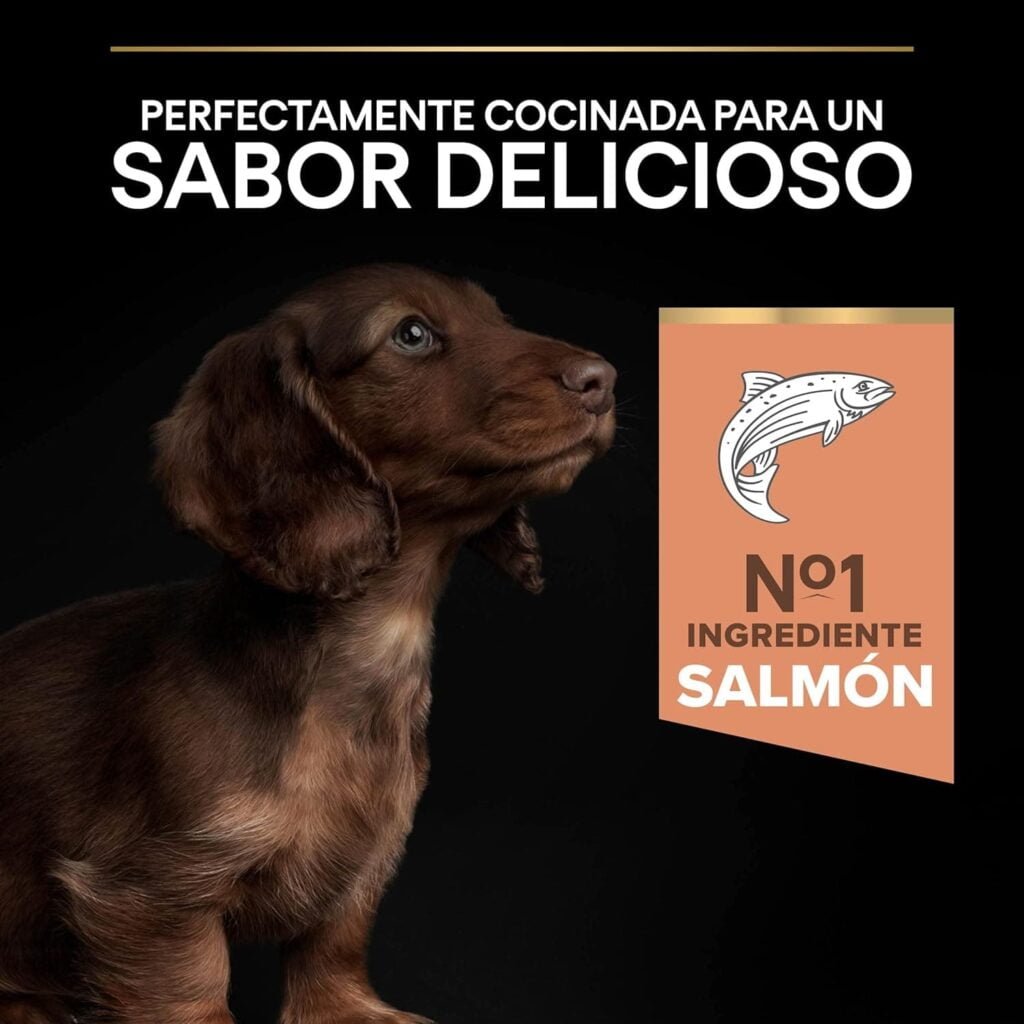 Purina Pro Plan Small & Mini Puppy, Salmón para cachorros de piel sensible, Pack de 4 x 3 Kg - Total 12 Kg