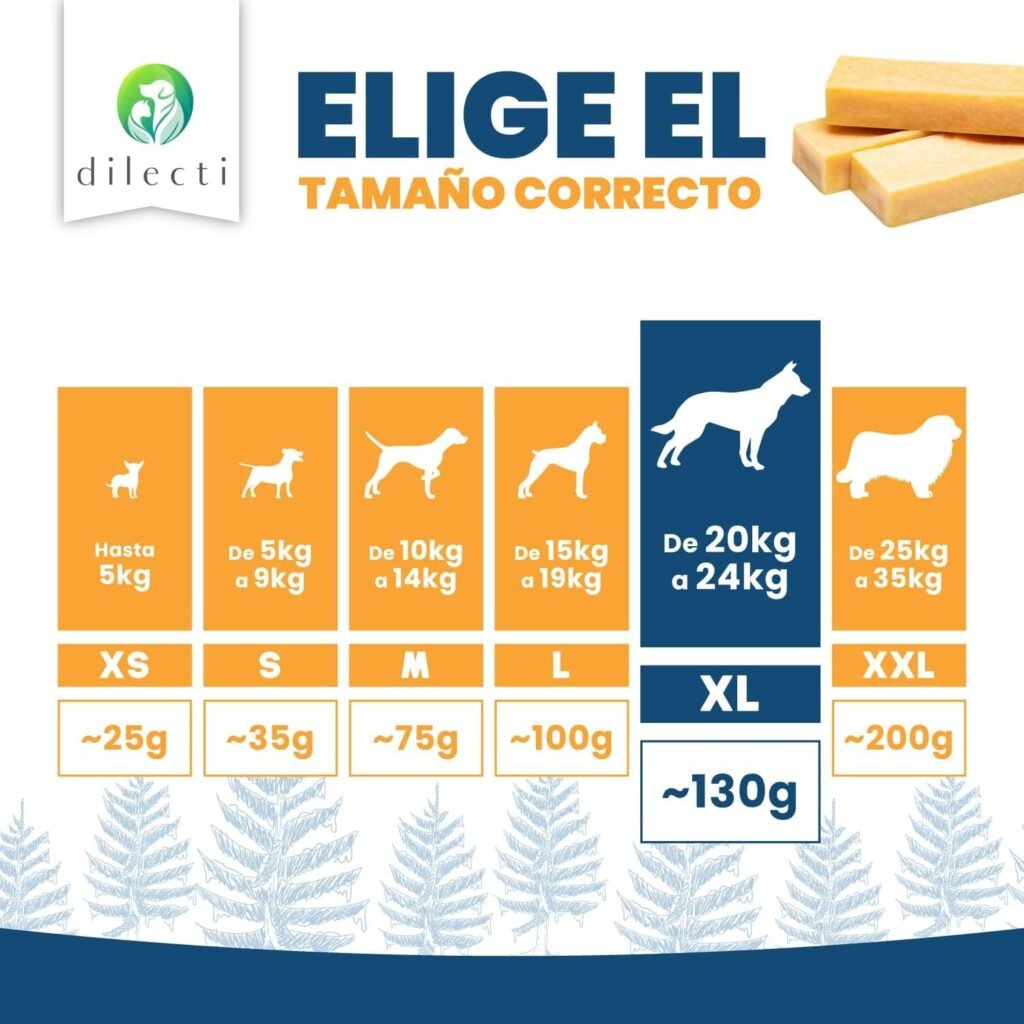 Dilecti Huesos de Queso Naturales - Los Masticables Naturales Muy Sabrosos, Duros y Duraderos Mantendrán a su Perro Ocupado Durante un Tiempo. (Talla XL, Juego de 3)