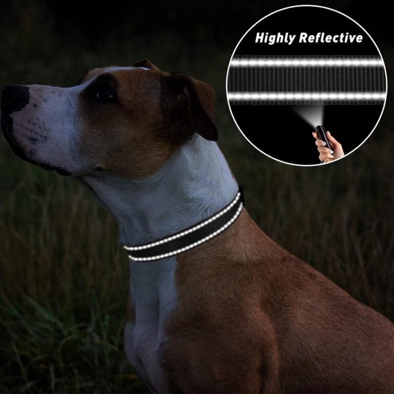 TagME Collar Perro Ajustable,Collar Nylon Reflectante,para Caminar Correr Entrenamiento,para Perros Grandes,Negro,2.5cm De Ancho