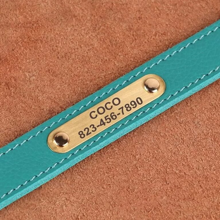 PET ARTIST Personalizado Collar de Perro de Cuero Genuino, Ligero y Suave Collar, 7 Hermosos Colores, Collar de Perro Durable para Cachorro y Perros pequeños, Verde S