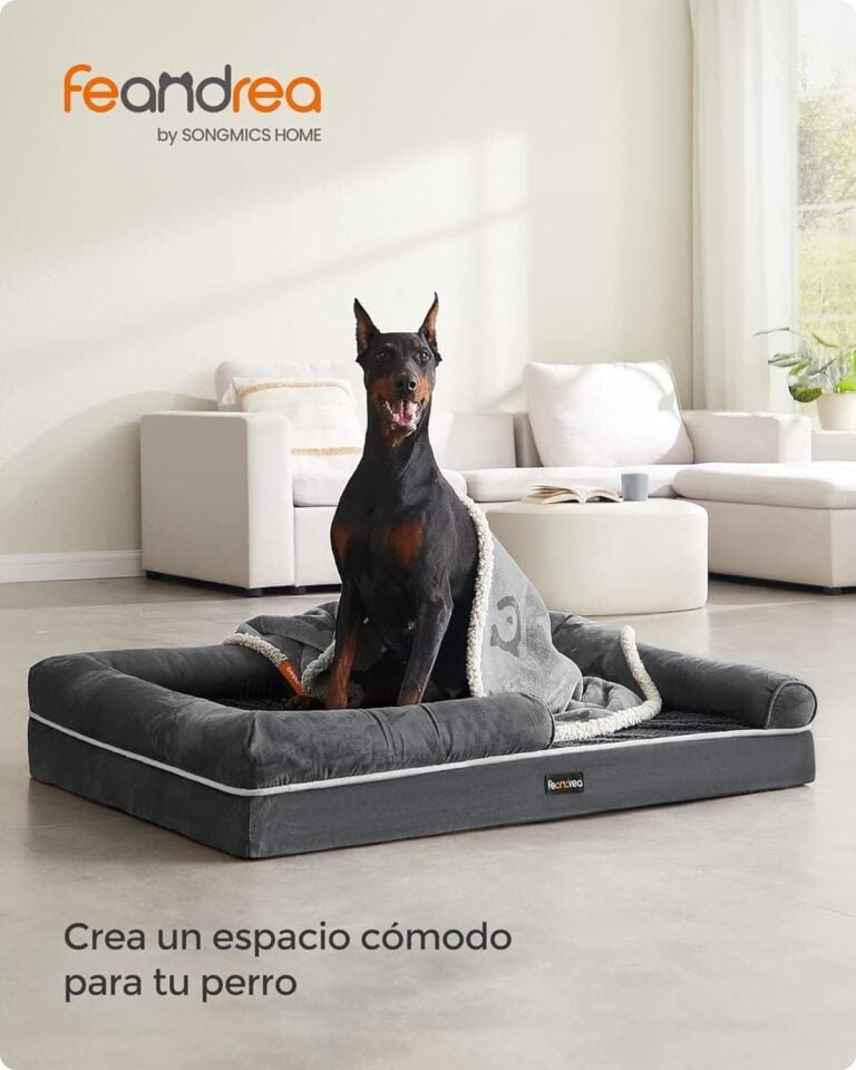 Feandrea Cama Ortopédica para Perros, Sofá, Cama para Mascotas, Acolchado Suave, Bordes Elevados, Funda Extraíble y Lavable, 120 x 85 x 20 cm, Antideslizante, Gris Osucro PGW078G01