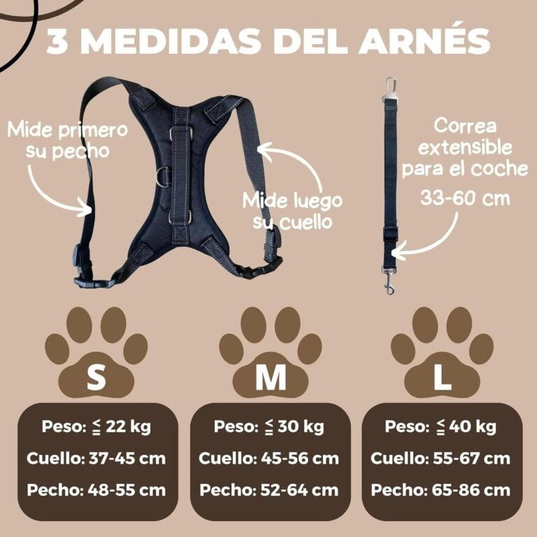 Arnés Perro Pequeño Antitirones S sin Presión con Cinturón de Seguridad para Coche. Pechera Ajustable con Asa de Agarre, Duradera, Cómoda y Ligera. Tiene Anclaje Tipo D para Correa de Paseo.