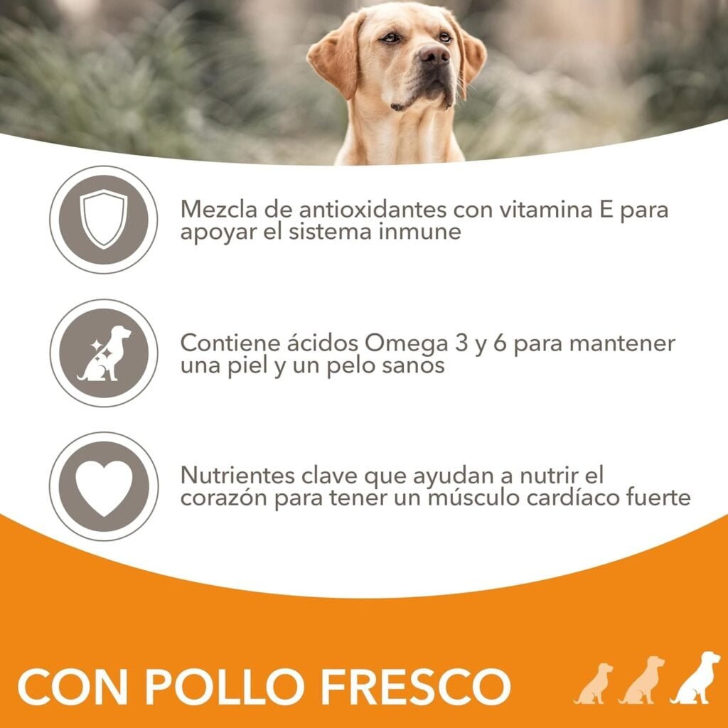 IAMS for Vitality Alimento seco para perros adultos (1-6 años) de raza grande con pollo fresco, 12 kg