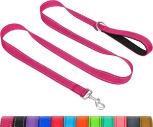 Taglory Correa Perro Reflectante, Mango Acolchado Suave y Gancho de Metal, Correas Adiestramiento para Perros Pequeño, 1.2m x 2.0cm, Fucsia