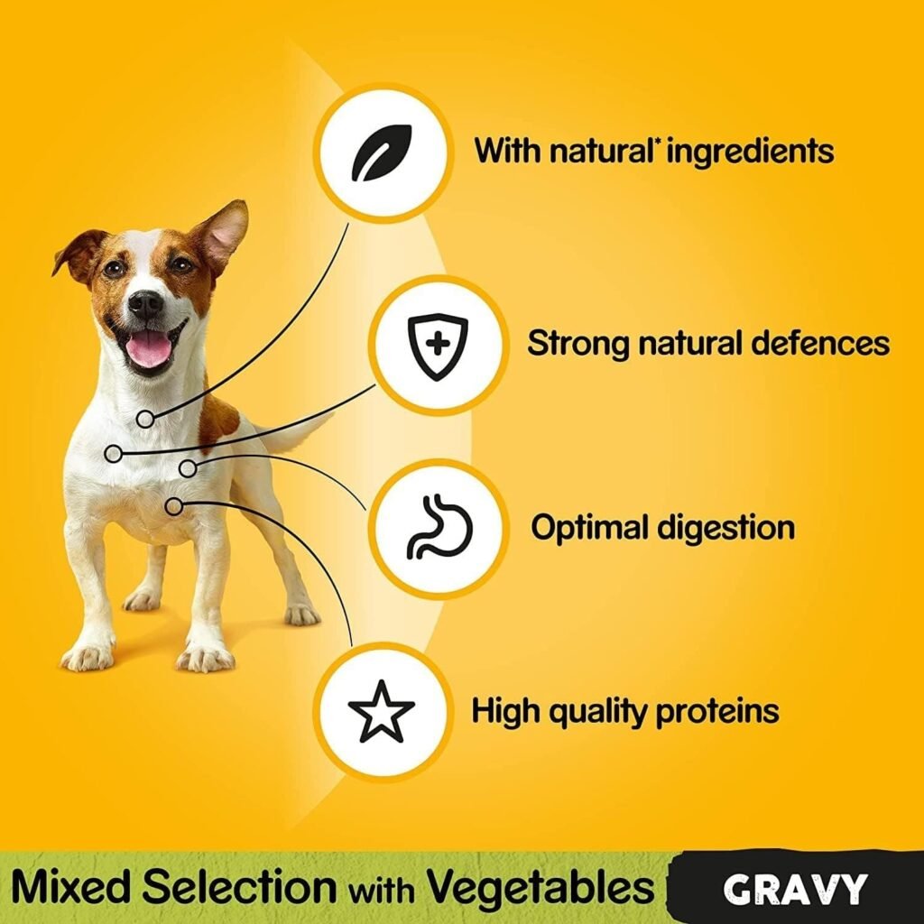 Pedigree Vital Protection Gravy 40x100 g