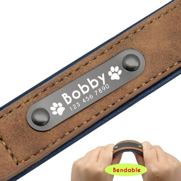 Didog - Collar de Piel Suave Acolchada Personalizable para Perro, Chapa de Nombre, Anilla en D, Collar Grabado para Perro, tamaños pequeño, Mediano y Grande