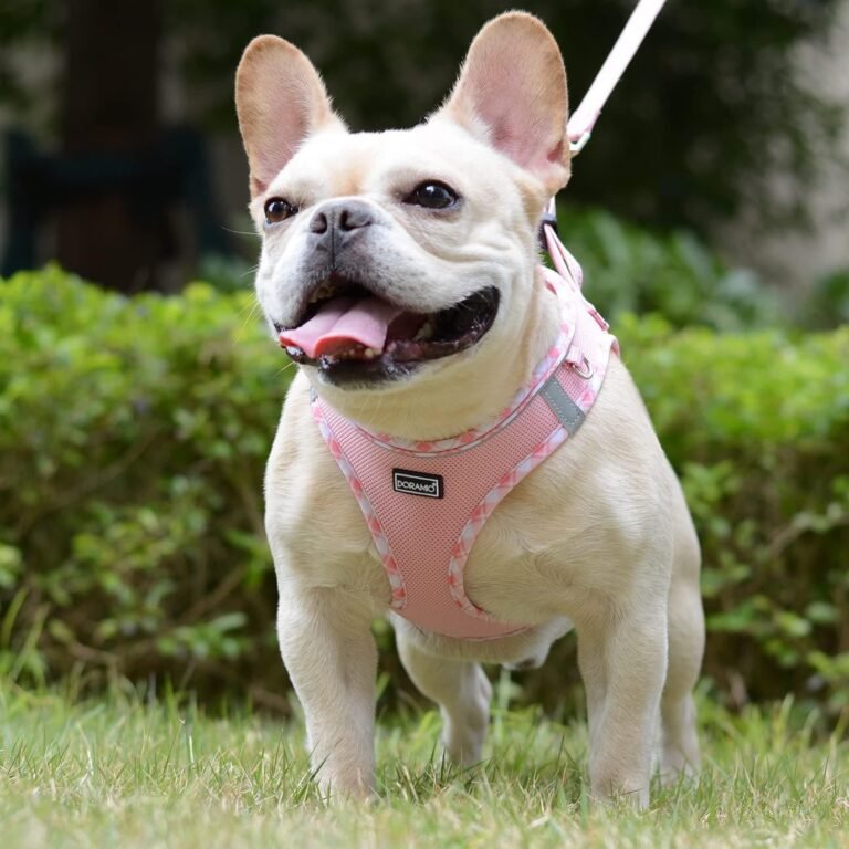 DORAMIO Arnés Perro Pequeños, Arnés Antitirones Reflectante Cómodo Transpirable Arneses Chaleco para Perros Pequeños Mediano Gatos, Cachorros (XS, Rosa)