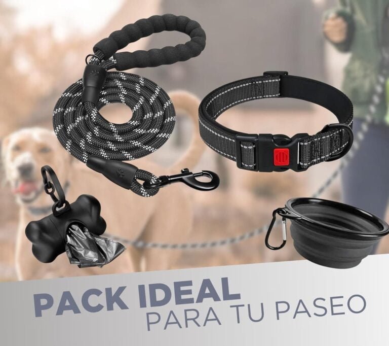 Collar de Perro Ajustable y Acolchado con Neopreno - Correa Perro 1,5m Reflectante - Cuenco Plegable y Dispensador con 15 Bolsitas - para Perros Pequeños Medianos y Grandes