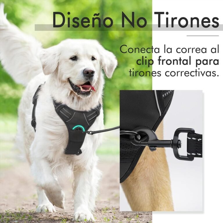 rabbitgoo Arnes Perro Grande Mediano Pequeño Arnés Pecho Antitirones Perros Coche con Lineas Reflecantes Cómodo Transpirable Chaleco Acolchado Ajustable para Adiesreamiento Correr Negro Tamaño Grande