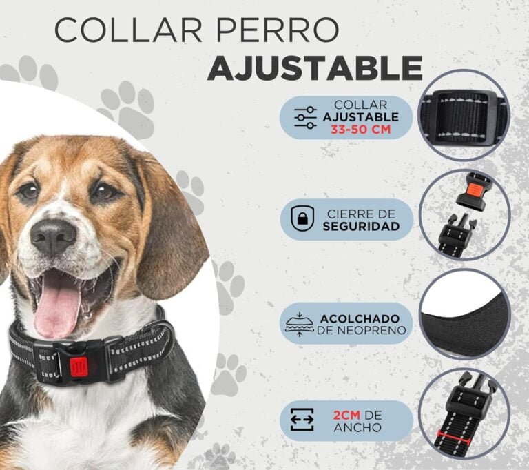 Collar de Perro Ajustable y Acolchado con Neopreno - Correa Perro 1,5m Reflectante - Cuenco Plegable y Dispensador con 15 Bolsitas - para Perros Pequeños Medianos y Grandes