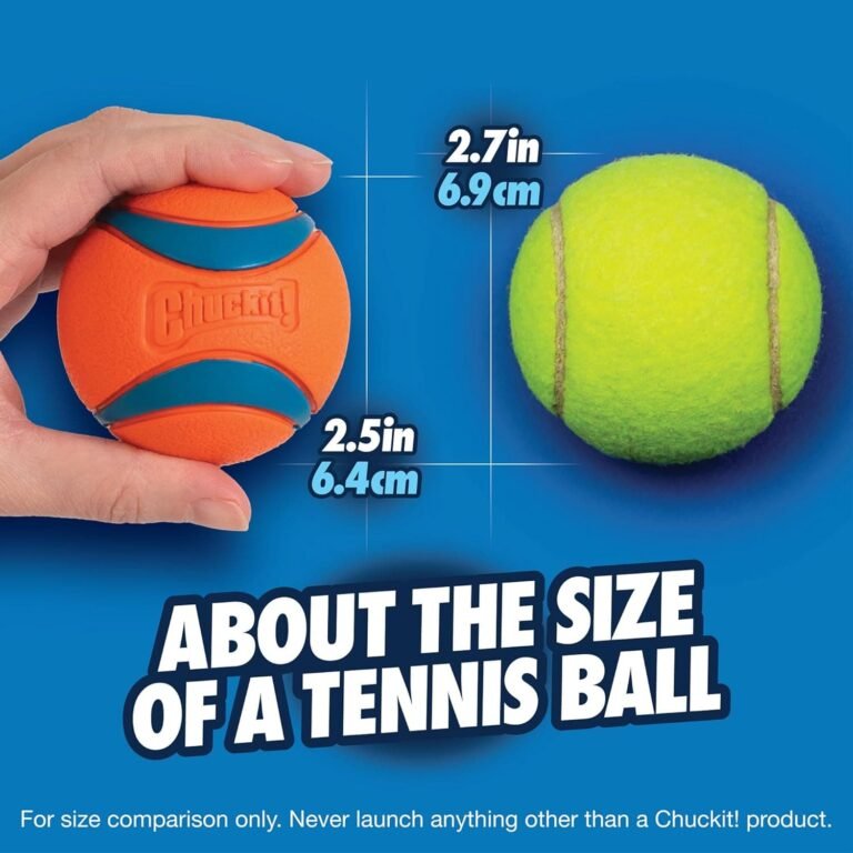 Chuckit Ultra Ball Medium - 2 Pelotas para Perros