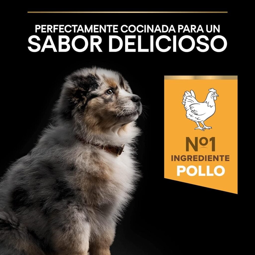 Purina Pro Plan Medium Puppy Start Pienso para Perro Mediano, Cachorro, Junior, Bebé con Pollo, saco de 12kg