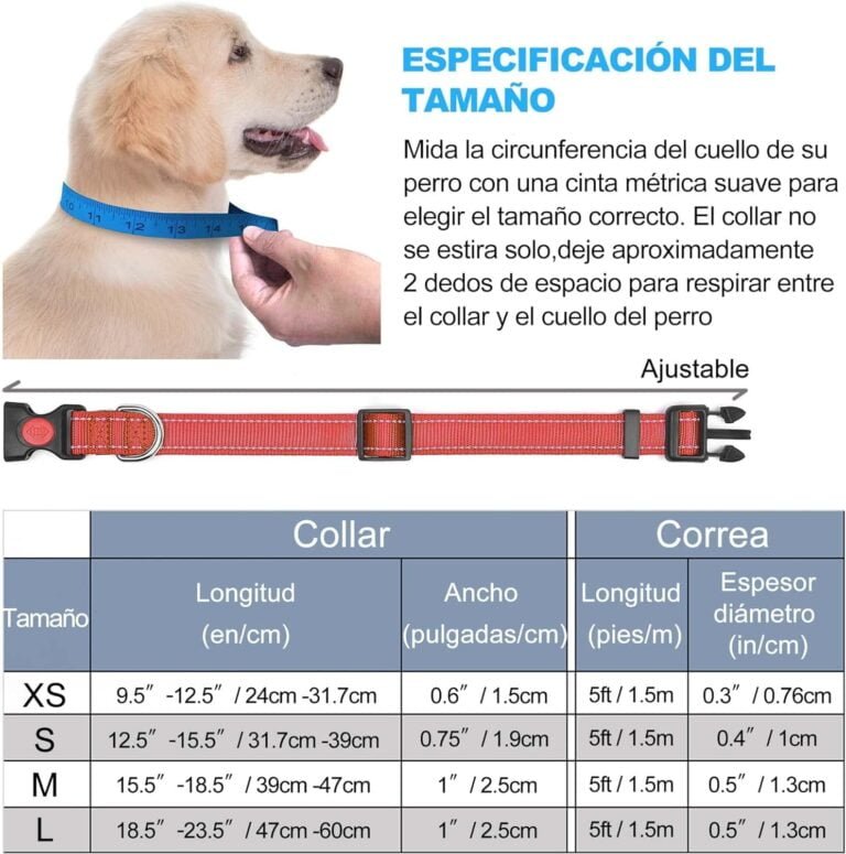 haapaw Collar de Perro Reflectante Acolchado con Neopreno Suave Collares de Perro de Nailon Ajustables Transpirables para Perros pequeños medianos Grandes