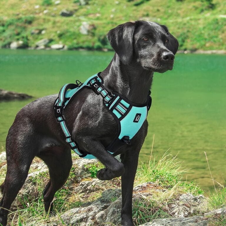 Arnes Perro Antitirones, Grande Mediano Pequeño Arnés Pecho Antitirones Perros con Asa Acolchado, Ajustable Transpirable Reflectantes Cómodo Chalecos Perro para Adiestramiento y Correr