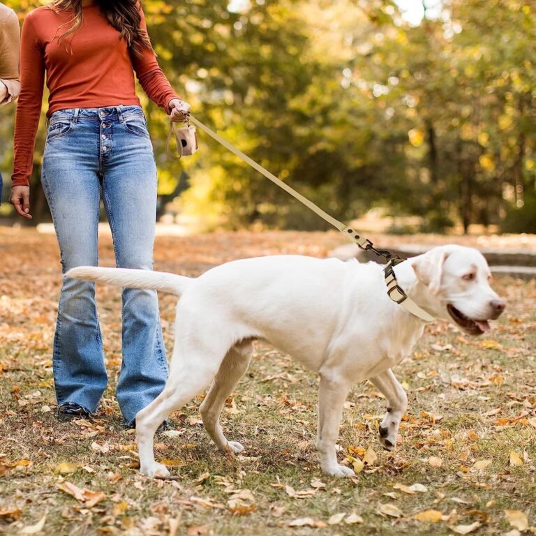 Wisedog Set de Collar y Correa Impermeable para Perros: Collar Ajustable para Perros, Correa clásica para Perros con Soporte para Bolsas de Caca (S, Color Arena)