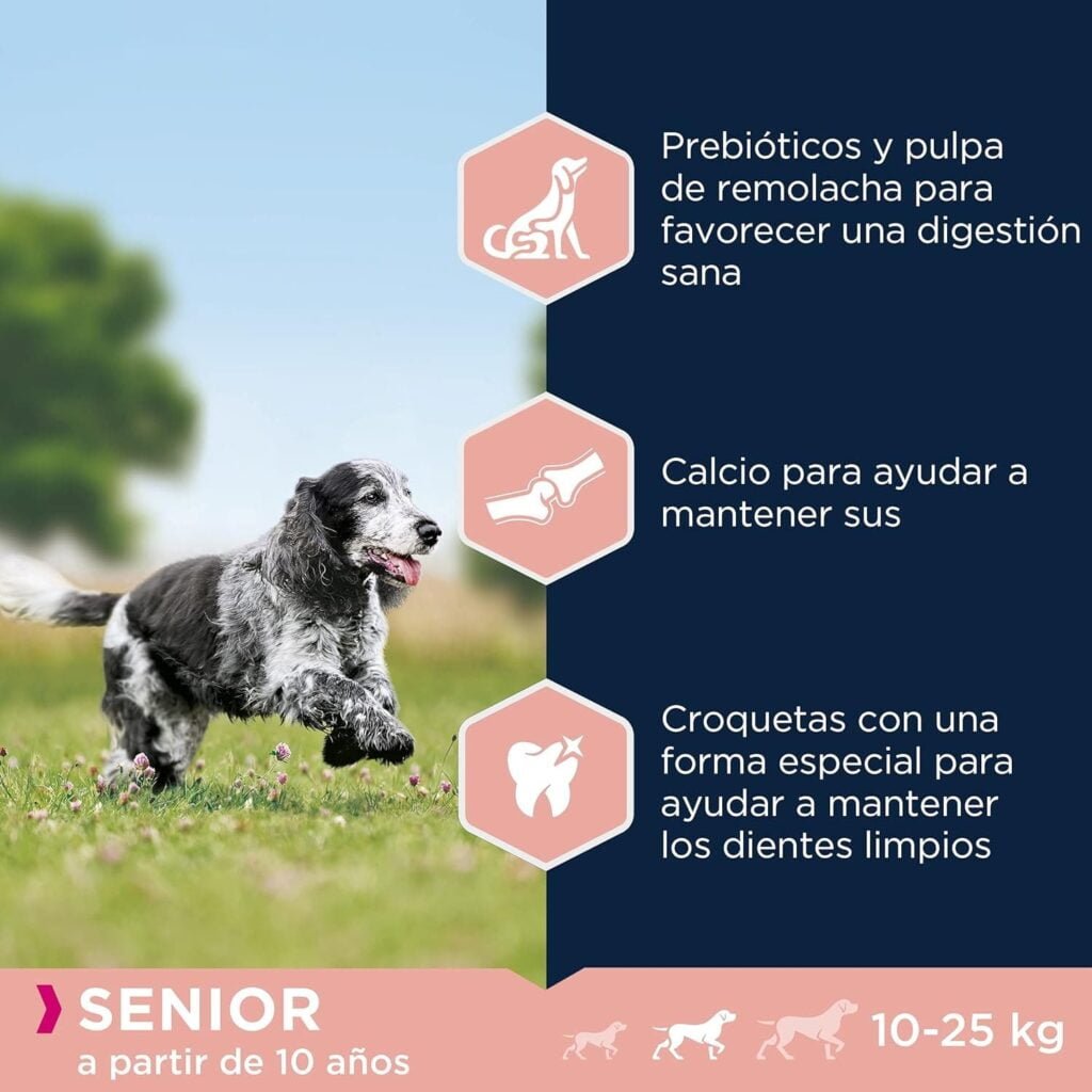 Eukanuba Alimento seco para perros viejos de razas medianas con pollo 15 kg