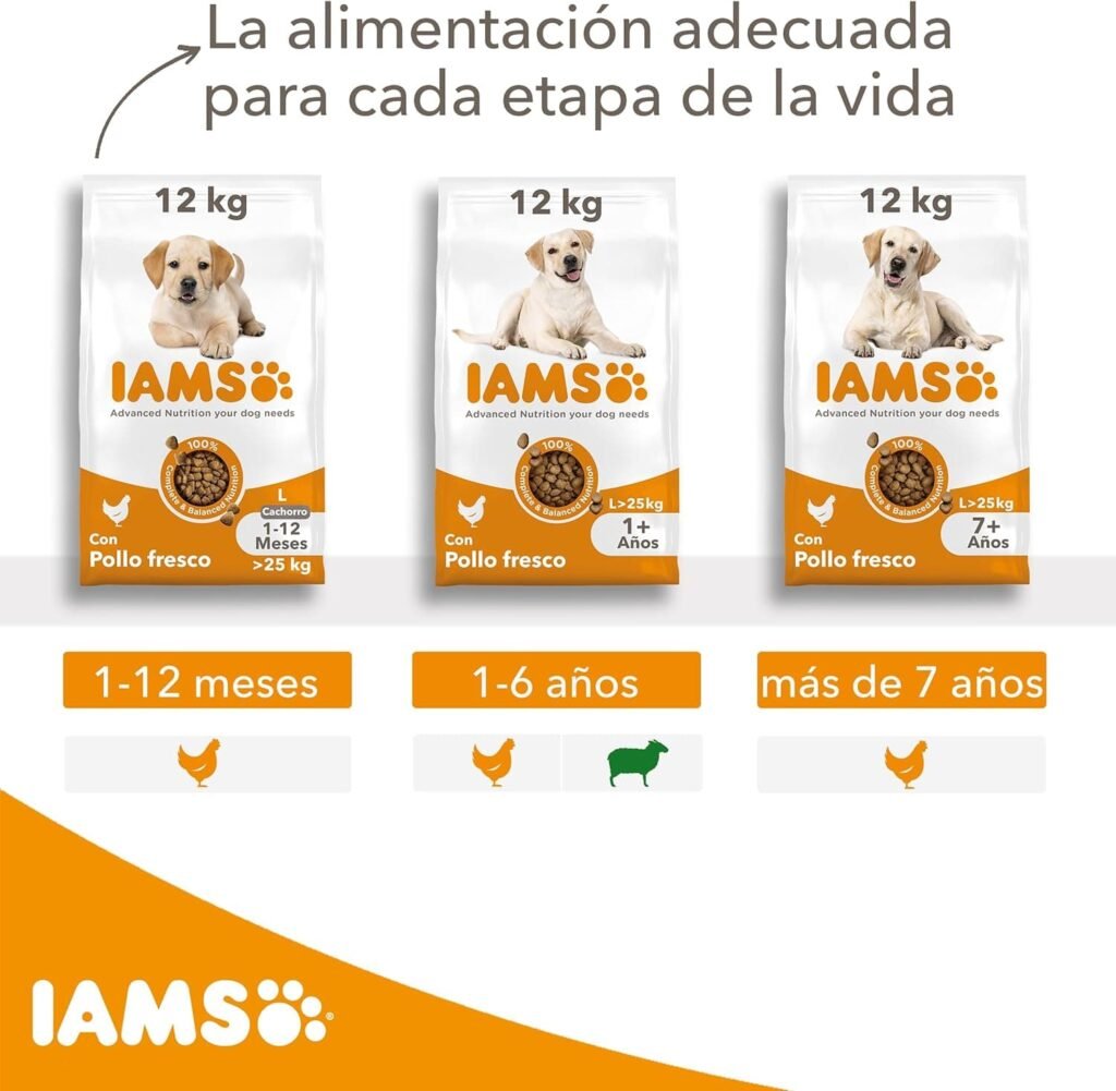 IAMS for Vitality Alimento seco para perros adultos (1-6 años) de raza grande con pollo fresco, 12 kg