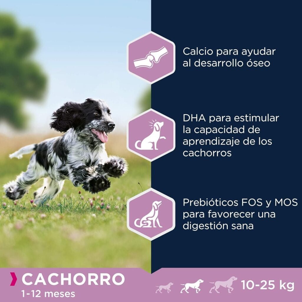 Eukanuba Alimento seco para cachorros de raza mediana, rico en pollo fresco 15 kg