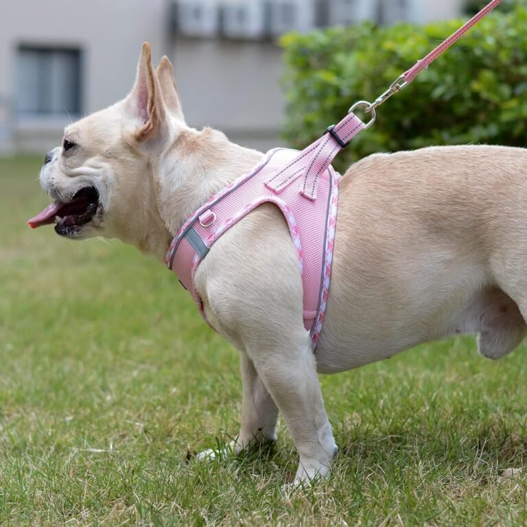 DORAMIO Arnés Perro Pequeños, Arnés Antitirones Reflectante Cómodo Transpirable Arneses Chaleco para Perros Pequeños Mediano Gatos, Cachorros (XS, Rosa)