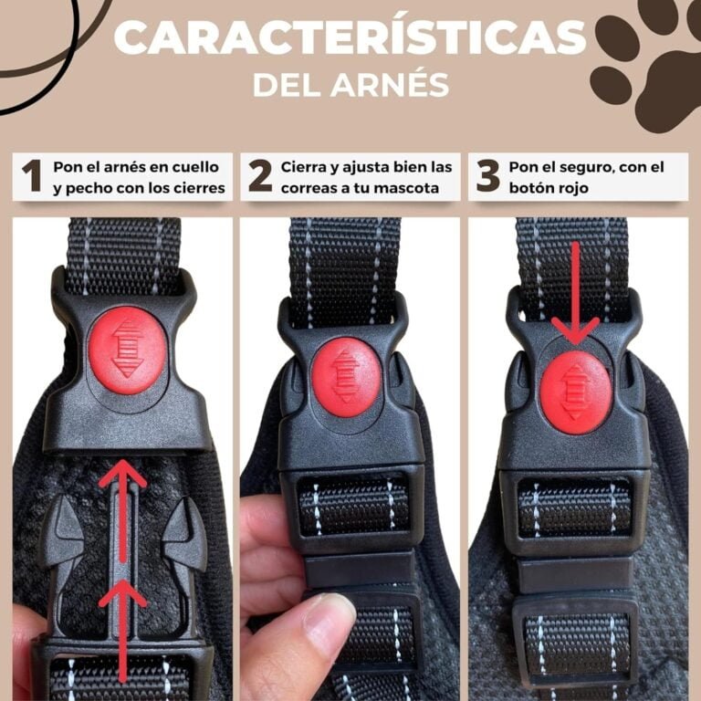 Arnés Perro Pequeño Antitirones S sin Presión con Cinturón de Seguridad para Coche. Pechera Ajustable con Asa de Agarre, Duradera, Cómoda y Ligera. Tiene Anclaje Tipo D para Correa de Paseo.